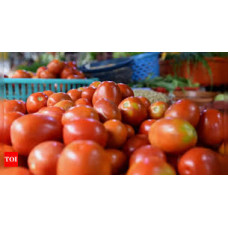 tomato